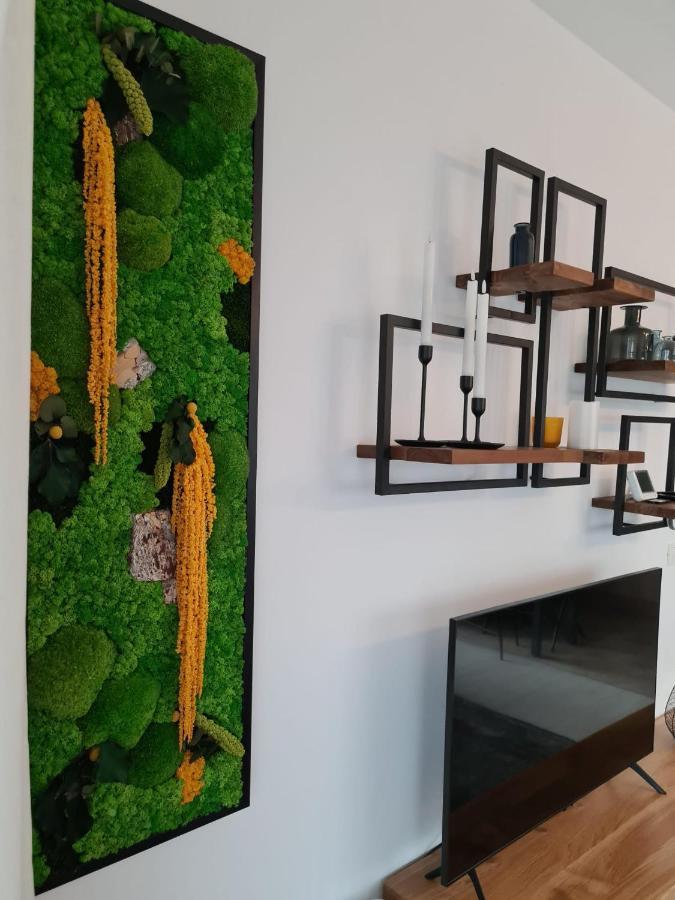 Tonic Studio Coresi Braşov Eksteriør billede