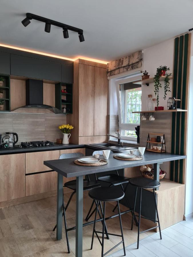 Tonic Studio Coresi Braşov Eksteriør billede